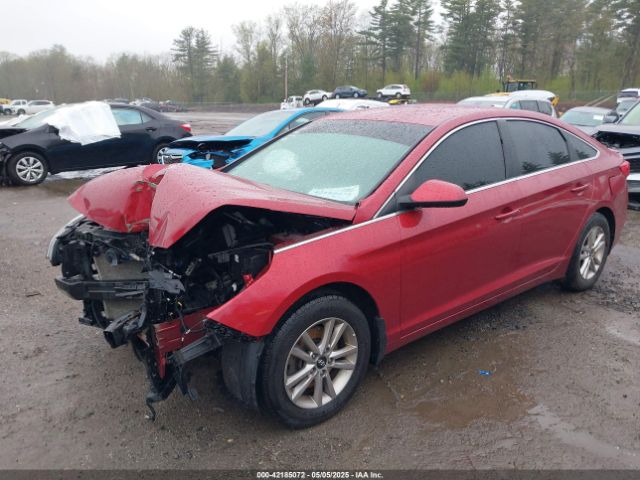 5NPE24AF9GH293212 Hyundai SONATA SE