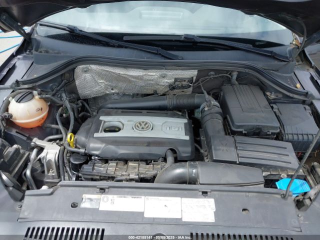 WVGBV7AX6GW558257 Volkswagen TIGUAN S