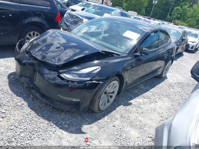 2023 TESLA MODEL 3 5YJ3E1EBXPF388011 Photo 1