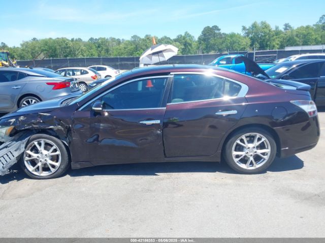1N4AA5AP7EC487915 Nissan Maxima 3.5 Sv