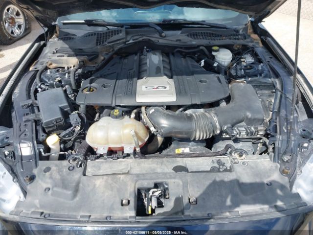1FA6P8CF3J5104304 Ford Mustang Gt Premium