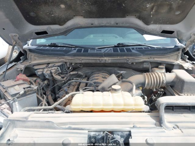 1FTFW1E55MKE45752 Ford F-150 Xlt