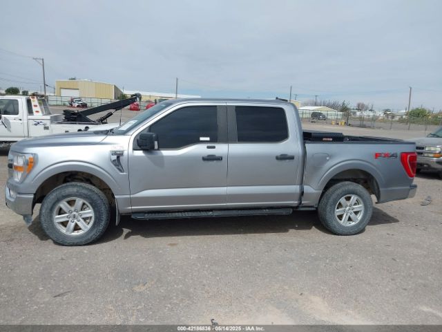 1FTFW1E55MKE45752 Ford F-150 Xlt