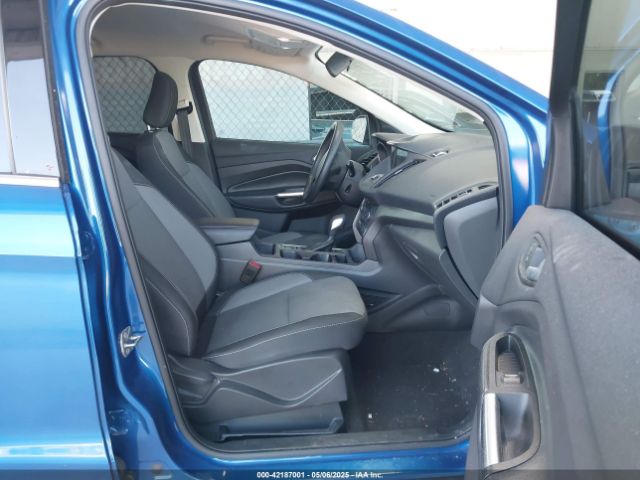 2019 FORD ESCAPE 1FMCU0GD9KUB84873 Photo 4