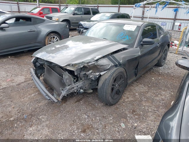 1ZVBP8AM7E5287185 Ford Mustang V6