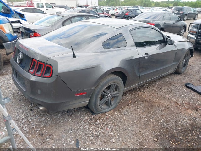 1ZVBP8AM7E5287185 Ford Mustang V6
