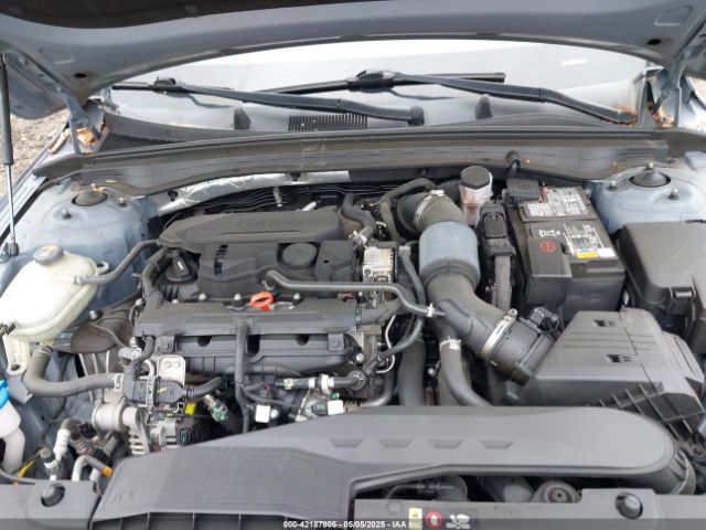 5XXG14J25MG020428 KIA K5 LXS