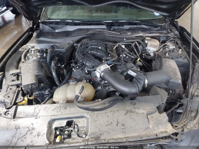 1FA6P8AM9G5267565 Ford Mustang V6