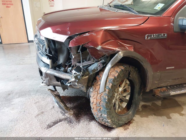 Ford F-150 2016 1FTEW1EG7GKE69746 Image 6