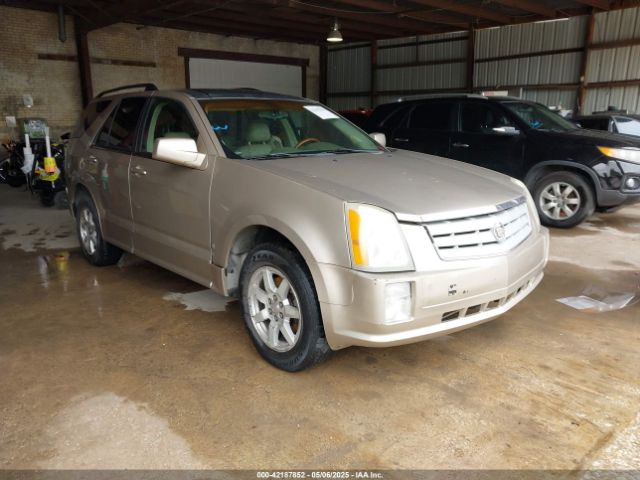 2006 CADILLAC SRX 1GYEE637160193975