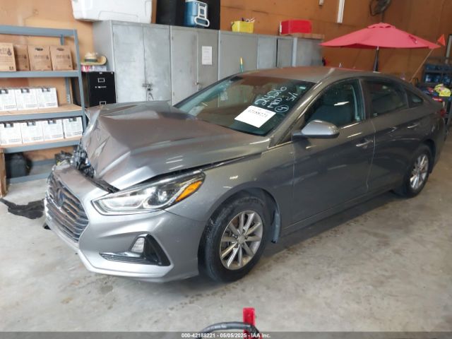 5NPE24AF5KH742426 Hyundai SONATA SE