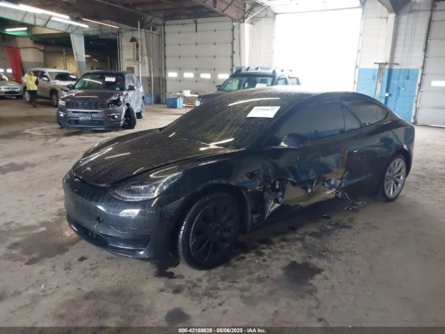 2023 TESLA MODEL 3 5YJ3E1EA5PF396413 Photo 1
