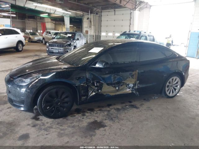2023 TESLA MODEL 3 5YJ3E1EA5PF396413 Photo 5