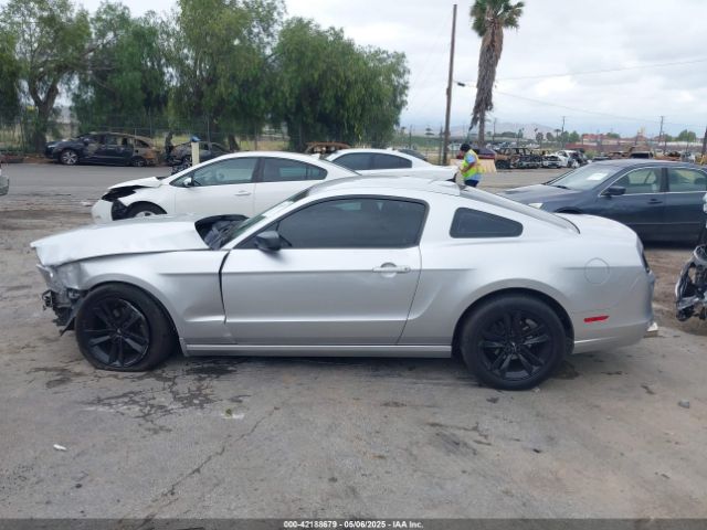 1ZVBP8AM5E5288383 Ford Mustang V6
