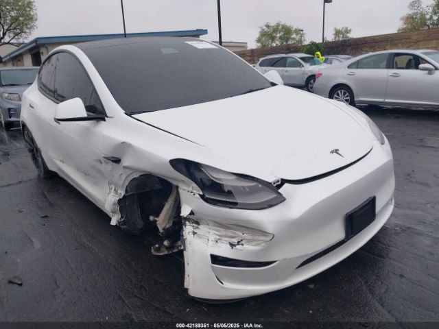 2022 TESLA MODEL Y 7SAYGDEF4NF411416 Photo 0