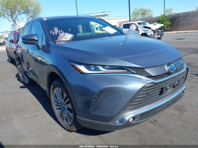 2023 TOYOTA VENZA JTEAAAAH1PJ148069