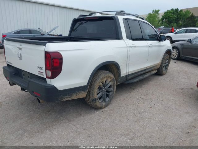 2021 HONDA RIDGELINE 5FPYK3F12MB000644 Photo 3
