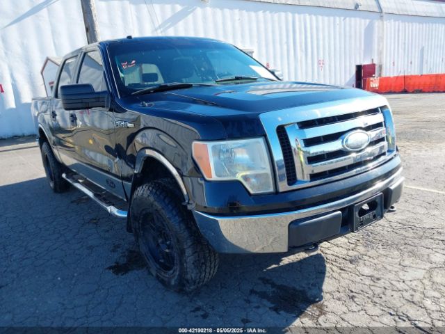 2009 FORD F-150 1FTRW14809FA66019