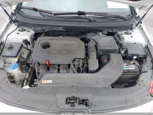 5NPE34AF7GH389823 Hyundai Sonata Sport