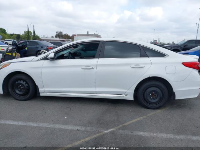 5NPE34AF7GH389823 Hyundai Sonata Sport