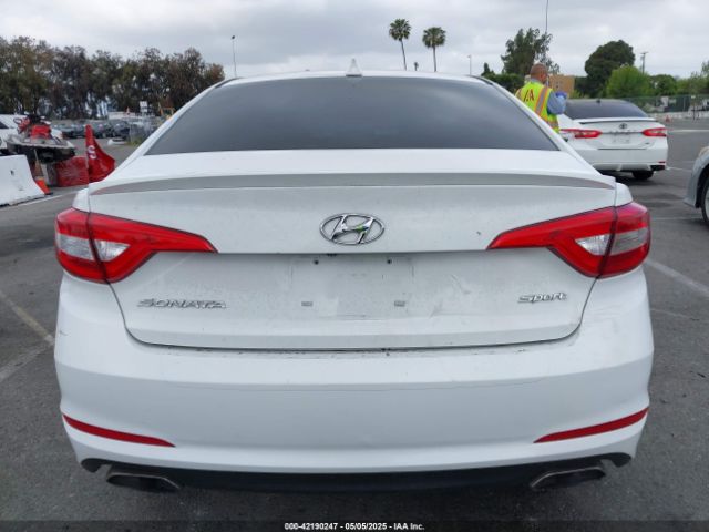 5NPE34AF7GH389823 Hyundai Sonata Sport