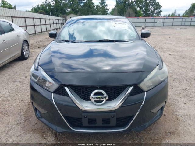 1N4AA6AP3GC394849 Nissan Maxima 3.5 Platinum/3.5 S/3.5 Sl/3.5 Sr/3.5 Sv