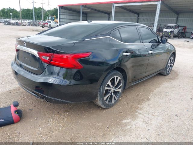 1N4AA6AP3GC394849 Nissan Maxima 3.5 Platinum/3.5 S/3.5 Sl/3.5 Sr/3.5 Sv