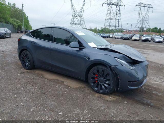 2023 TESLA MODEL Y 7SAYGDEF1PF838247