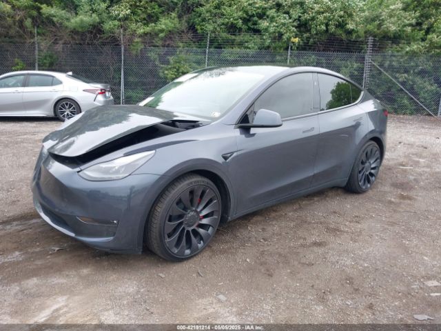 2023 TESLA MODEL Y 7SAYGDEF1PF838247 Photo 1