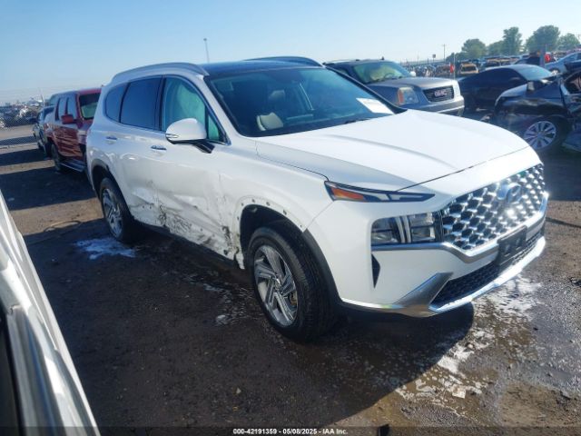 2023 HYUNDAI SANTA FE 5NMS3DAJ7PH555309