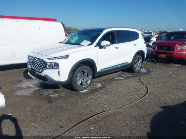 2023 HYUNDAI SANTA FE 5NMS3DAJ7PH555309 Photo 1