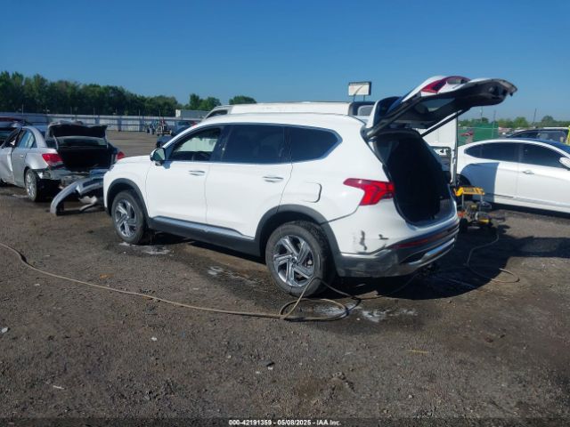 2023 HYUNDAI SANTA FE 5NMS3DAJ7PH555309 Photo 2