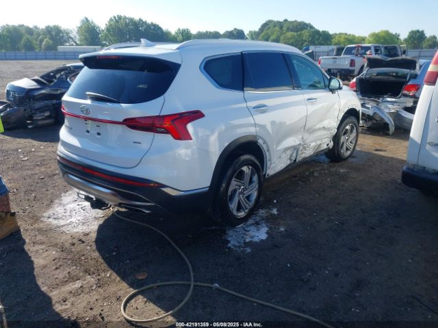2023 HYUNDAI SANTA FE 5NMS3DAJ7PH555309 Photo 3
