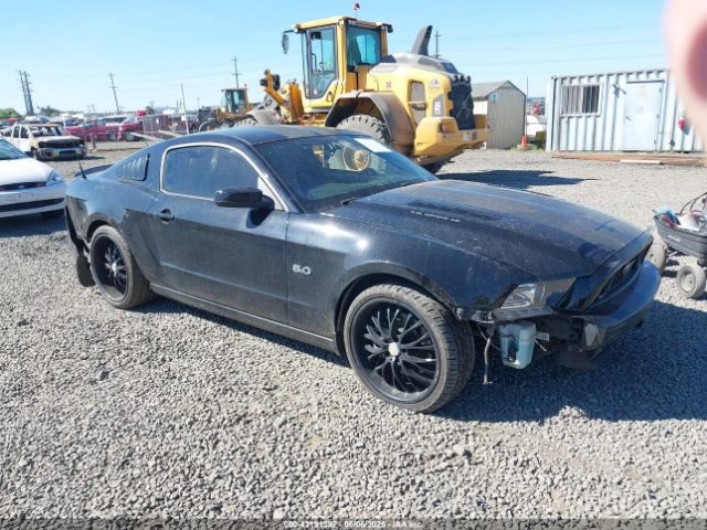 2014 FORD MUSTANG 1ZVBP8CF5E5201080 Photo 0