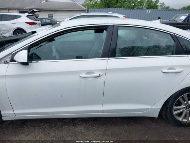 5NPE24AF4HH527886 Hyundai Sonata
