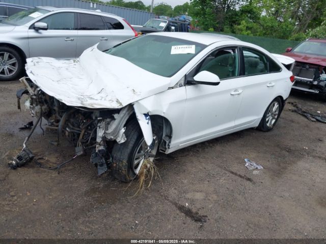5NPE24AF4HH527886 Hyundai Sonata
