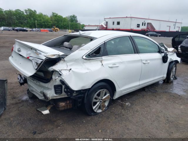 5NPE24AF4HH527886 Hyundai Sonata