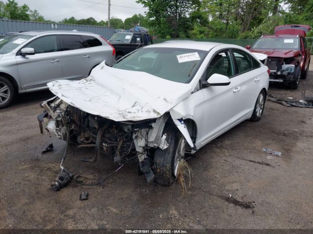 5NPE24AF4HH527886 Hyundai Sonata