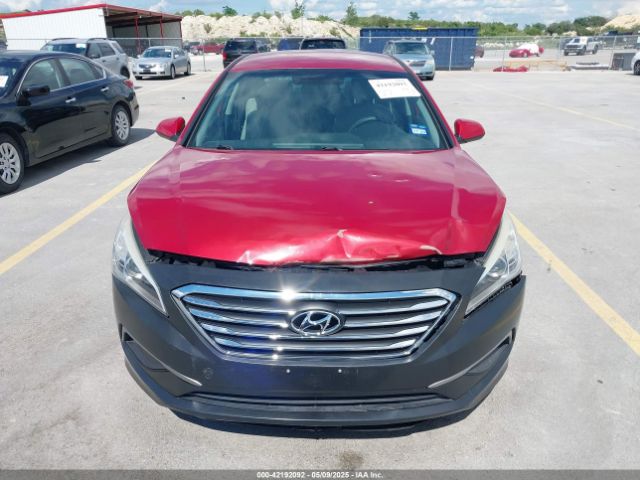 5NPE24AFXHH530081 Hyundai Sonata