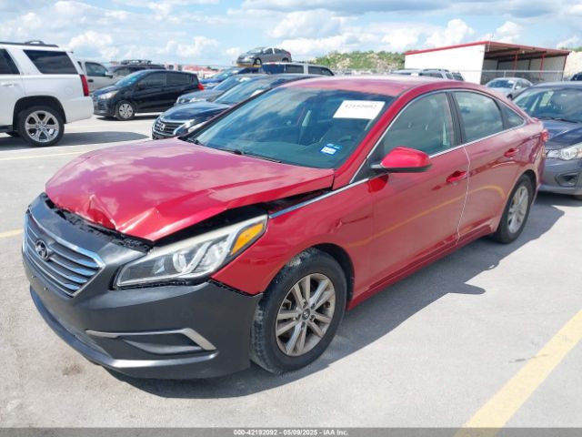 5NPE24AFXHH530081 Hyundai Sonata