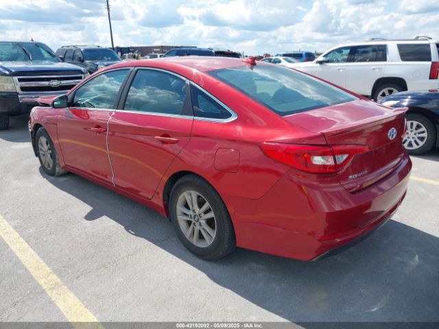 5NPE24AFXHH530081 Hyundai Sonata