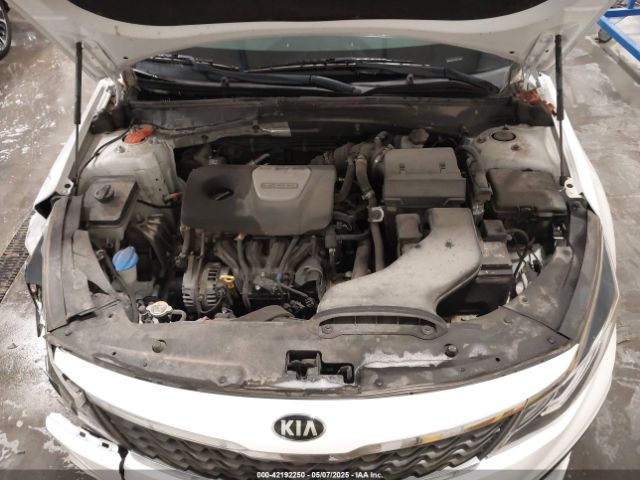 5XXGU4L18KG314561 KIA OPTIMA EX
