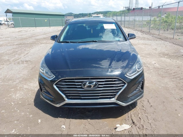 5NPE34AF6JH641388 Hyundai SONATA SEL
