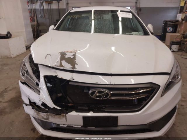 5NPE34AF1HH490289 Hyundai Sonata Sport