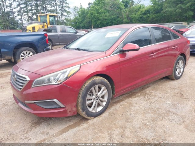 5NPE24AFXGH424650 Hyundai SONATA SE