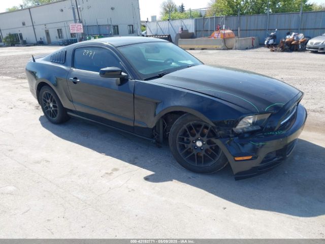 1ZVBP8AMXE5299251 auction archive image