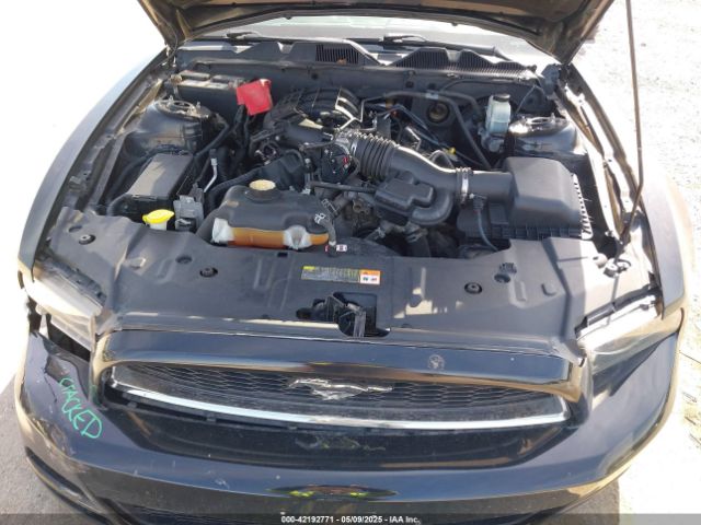1ZVBP8AMXE5299251 Ford Mustang V6