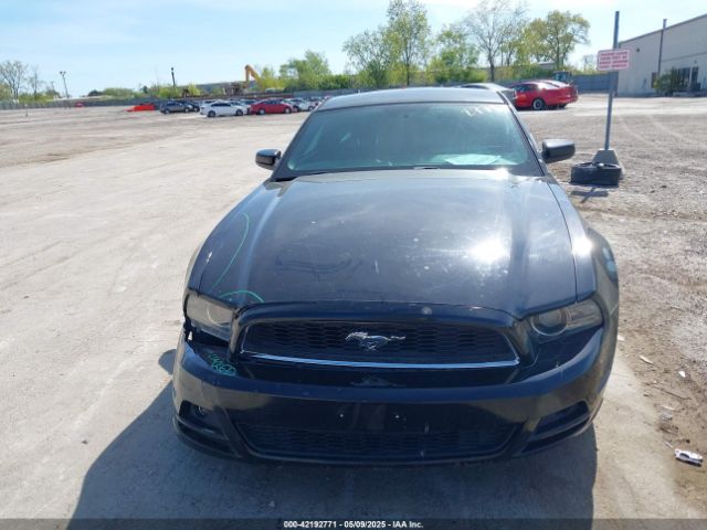 1ZVBP8AMXE5299251 Ford Mustang V6