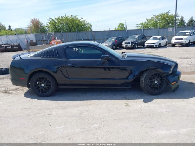 1ZVBP8AMXE5299251 Ford Mustang V6