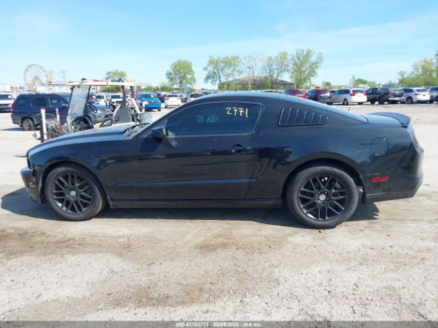 1ZVBP8AMXE5299251 Ford Mustang V6